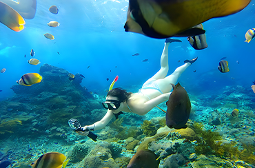 Crystal Bay Snorkeling Point